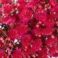 Couronne décorative en