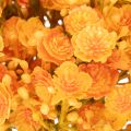 Kraütchen artificiel orange en