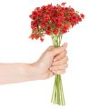 Kraut artificiel rouge 30 cm - Bouquet décoratif 10 pièces | Floristik24.fr