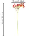 Kraut artificiel rouge 30 cm - Bouquet décoratif 10 pièces | Floristik24.fr