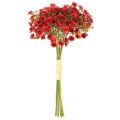 Kraut artificiel rouge 30 cm -