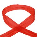 Floristik24 Ribbon Crash ruban décoratif ruban cadeau rouge 50mm 20m