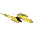 Floristik24 Papillon jaune sur le clip 11cm 6pcs