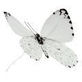 Floristik24 Papillon blanc 20cm sur fil 2pcs