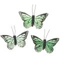 Floristik24 Lot de 12 papillons décoratifs en plumes, vert, 7 cm