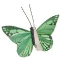 Lot de 12 papillons décoratifs en plumes, vert, 7 cm | Floristik24.fr