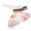 Floristik24 Papillons déco avec pince, papillons en plumes roses 4,5-8cm 10p