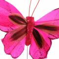 Floristik24 Papillon plume avec fil 7cm rose violet 24pcs