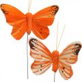 Floristik24 Papillons déco, bouchons fleuris, papillons printaniers sur fil jaune, orange 4×6.5cm 12pcs
