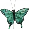 Floristik24 Papillons déco, déco printanière, papillons plumes, bouchons végétaux vert, marron 9.5×12.5cm 12pcs