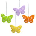 Floristik24 Papillons à suspendre colorés 6.5cm 5pcs