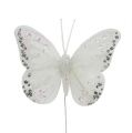 Floristik24 Papillons blanc 8cm avec du glitter 6P