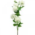 Branche Boule de Neige Plante Artificielle Fleur en Soie Blanc Ø6.5cm L78cm