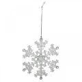 Floristik24 Flocon de neige décoratif, décoration hivernale, cristal de glace à accrocher, Noël H10cm L9.5cm plastique 12pcs