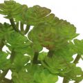 Floristik24 Plantes artificielles en pot Succulente Artificielle Verte H15cm