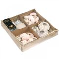 Décoration maritime mélange d&#39;oursins rose, blanc, vert boîte de 20 pièces