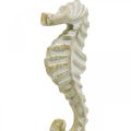 Floristik24 Hippocampe en bois, décoration maritime, figurine décorative animal marin couleur naturelle, blanc H35cm