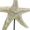 Floristik24 Etoile de mer à poser, déco bois maritime coloris naturel, blanc H23,5cm