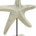 Floristik24 Étoile de mer en bois, sculpture décorative maritime, décoration mer couleurs naturelles, blanc H28cm