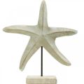Floristik24 Étoile de mer en bois, sculpture décorative maritime, décoration mer couleurs naturelles, blanc H28cm