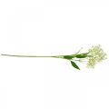 Floristik24 Explosion de soie artificielle, décoration florale, fleur en soie, décoration fleur blanche L72cm