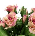 Floristik24 Tissu en soie fleurs bouquet de roses L26cm rose foncé 3pcs