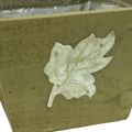 Floristik24 Boîte à plantes bois shabby chic boîte en bois vert 11×14.5×14cm