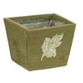 Floristik24 Boîte à plantes bois shabby chic boîte en bois vert 11×14.5×14cm