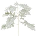 Floristik24 Branche artificielle de séneçon (Senecio), finement travaillée, 45 cm, 3 pièces