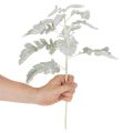 Branche artificielle de séneçon (Senecio), finement travaillée, 45 cm, 3 pièces | Floristik24.fr