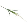 Floristik24 Herbe à cheveux argentés plante verte herbe douce artificielle 104cm