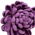 Floristik24 Fleurs sur le fil violet foncé 8cm 12pcs