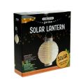 Floristik24 Lanterne LED avec solaire 20cm blanc