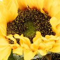 Tournesols artificiels avec feuilles réalistes, 58 cm, lot de 3 | Floristik24.fr