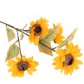 Soleil artificiel 72cm 2pcs en
