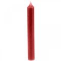 Floristik24 Bougie tige rouge bougies colorées rouge rubis 180mm/Ø21mm 6pcs
