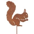 Floristik24 Lot de 2 piques de jardin en métal aspect rouille motif écureuil 52 cm