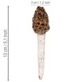 Morilles artificielles décoratives à piquer pour pots de fleurs et tables, 13 cm, lot de 2 | Floristik24.fr