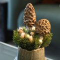 Lot de 2 champignons morilles décoratifs en céramique avec tige – 13 cm | Floristik24.fr