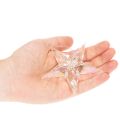 Décorations suspendues étoiles en acrylique irisé 9 cm transparentes, lot de 6 | Floristik24.fr