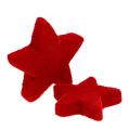 Floristik24 Star mix rouge floqué 4-5cm 40pcs