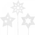 Floristik24 Bouchon fleur étoiles, Avent, décoration florale, étoiles en bois nature, blanc, paillettes d&#39;or L27 / 28.5cm 18pcs