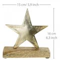 Floristik24 Décoration étoile, décoration métal sur bois de manguier, décoration de l&#39;Avent L15cm