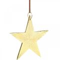 Floristik24 Etoile dorée, décoration de l&#39;Avent, pendentif décoration pour Noël 12 × 13cm 2pcs