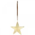 Floristik24 Étoiles à accrocher, décorations en métal, décorations de sapin de Noël dorées 9,5 × 9,5cm 3pcs