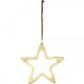 Floristik24 Pendentif Noël, décoration étoile pour l&#39;Avent, décoration étoile dorée 14×14cm
