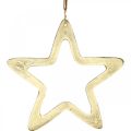 Floristik24 Pendentif Noël, décoration étoile pour l&#39;Avent, décoration étoile dorée 14×14cm