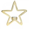Floristik24 Photophore décoratif étoile à suspendre métal doré 20cm