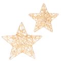Floristik24 Lot de 12 étoiles décoratives en fil métallique doré, tailles 7 cm et 10 cm