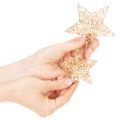 Lot de 12 étoiles décoratives en fil métallique doré, tailles 7 cm et 10 cm | Floristik24.fr